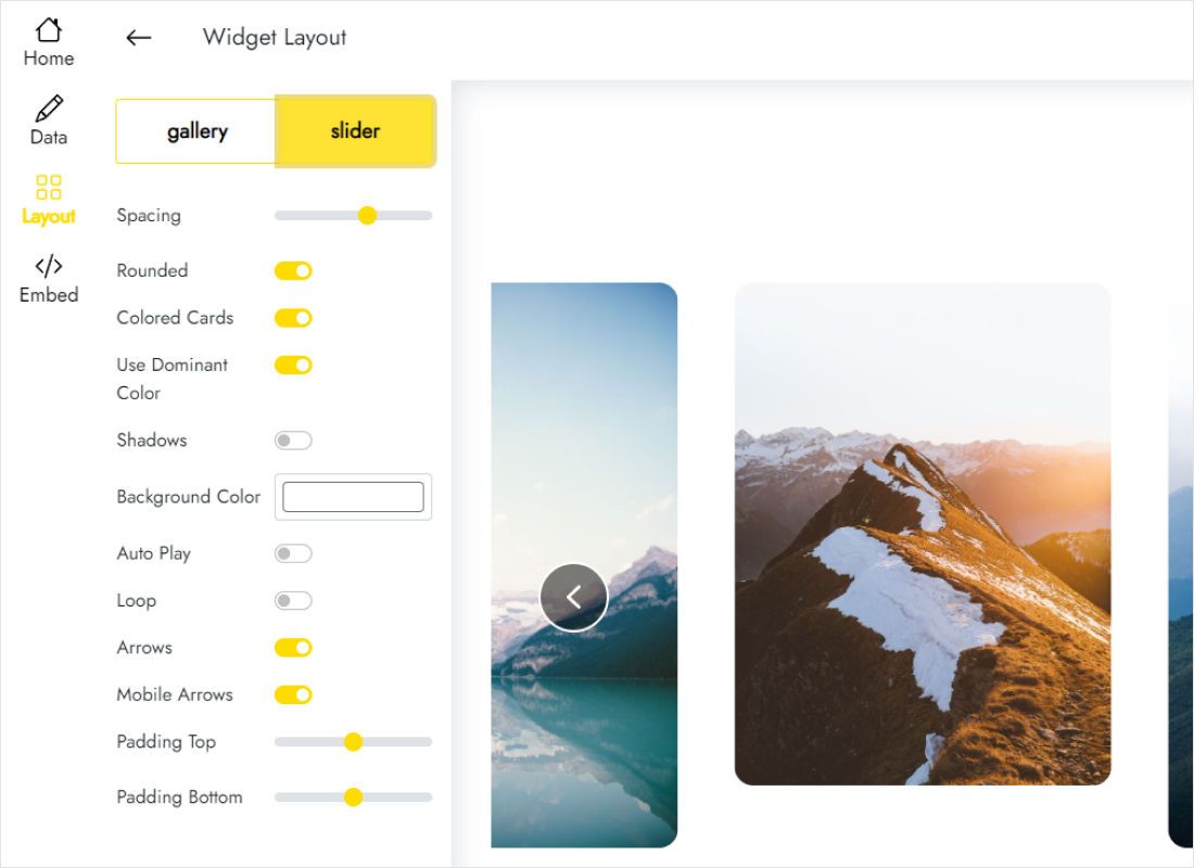 Layout tab offering Gallery and Slider options for the pin feed